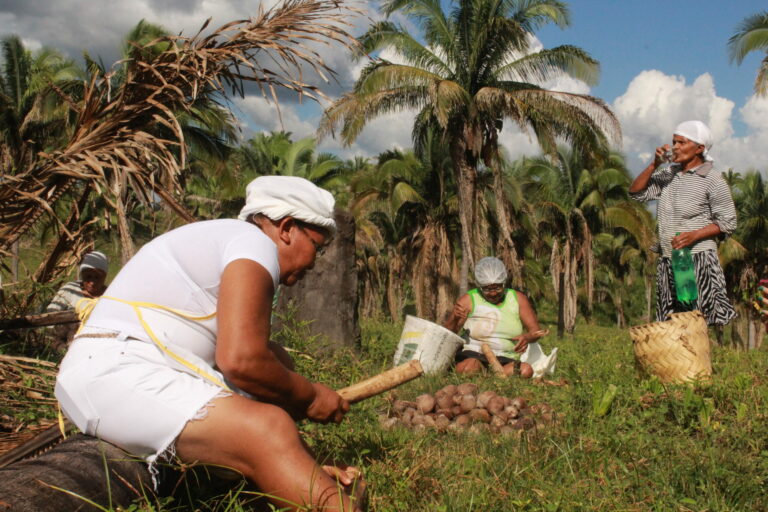 Leia mais sobre o artigo Mudanças climáticas e direito ao território