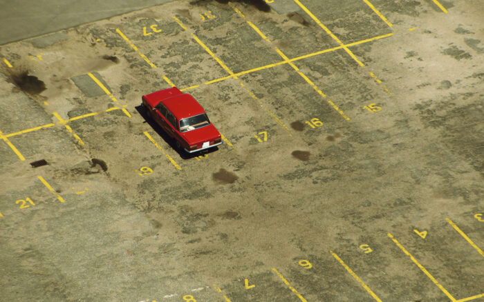 Leia mais sobre o artigo Destruições causadas pelos carros