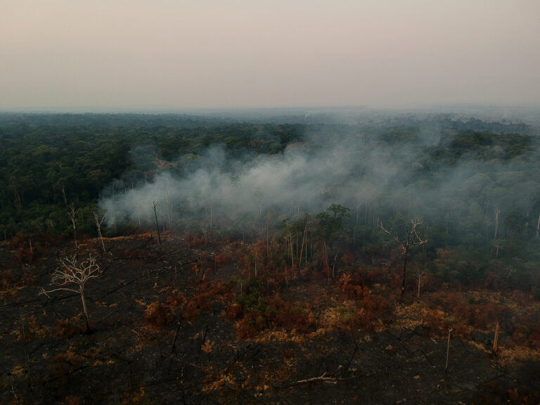 Leia mais sobre o artigo A normativa europeia e a proteção ambiental no Brasil
